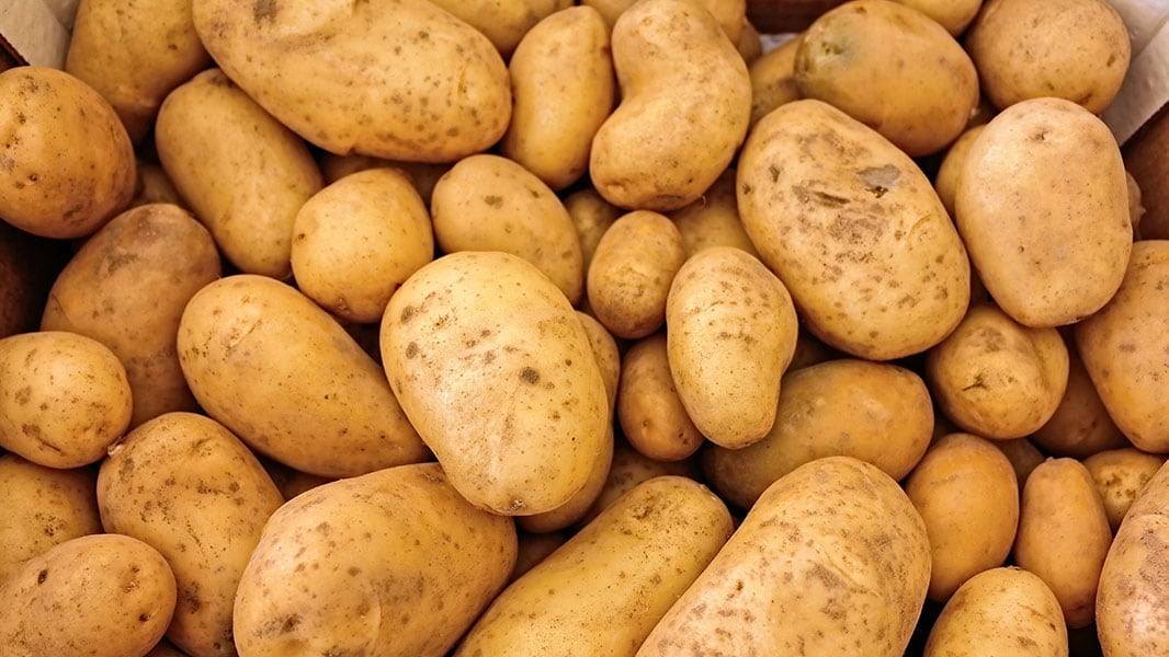Papas