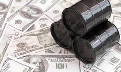 Teletrabajo, subsidios al agro, recorte de combustible a diputados y más: la receta del Observatorio de la UNA ante la crisis petrolera