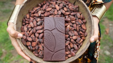 El cacao de Costa Rica se posiciona en la élite mundial: dos marcas nacionales ganan medallas en prestigioso certamen internacional