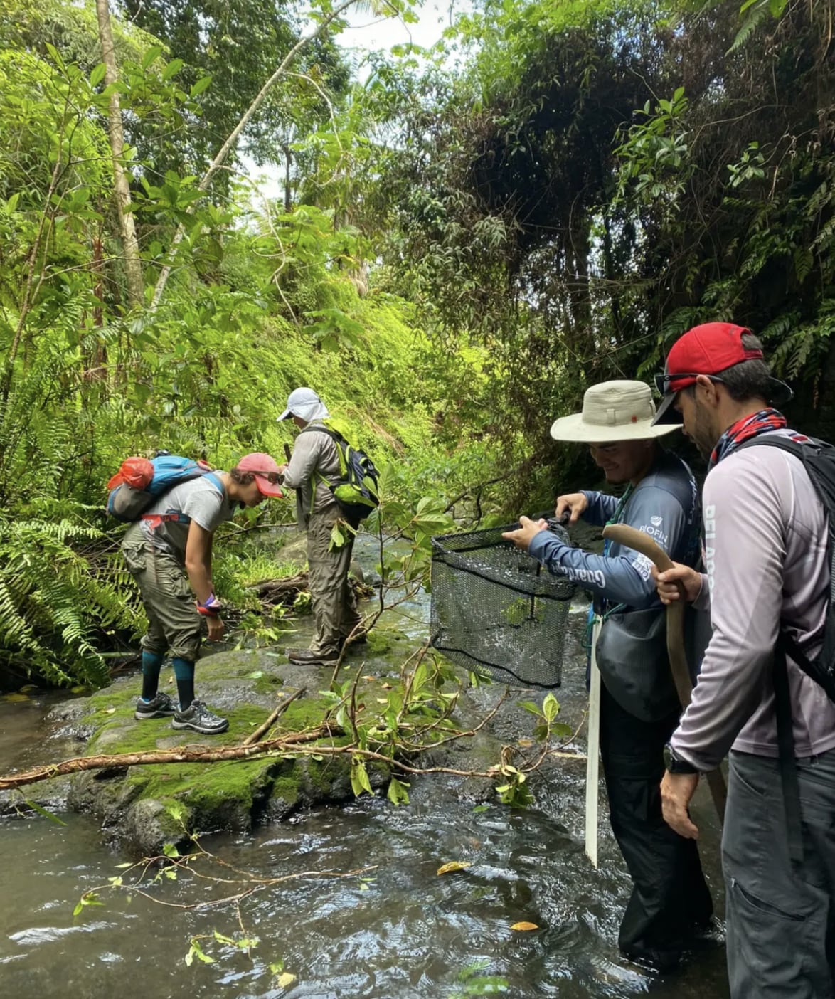 Científicos costarricenses han investigado en los últimos años la presencia de microplásticos en la Isla del Coco y han confirmado su presencia. En la foto, durante un análisis en la isla. Foto: UNA
