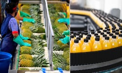 La advertencia de la industria alimentaria en Costa Rica: dos factores externos golpearon los resultados del 2025