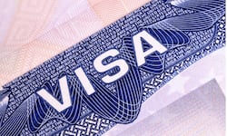 ¿Puede afectar mi visa a Estados Unidos tener un familiar en condición migratoria irregular? Esto responde la Embajada