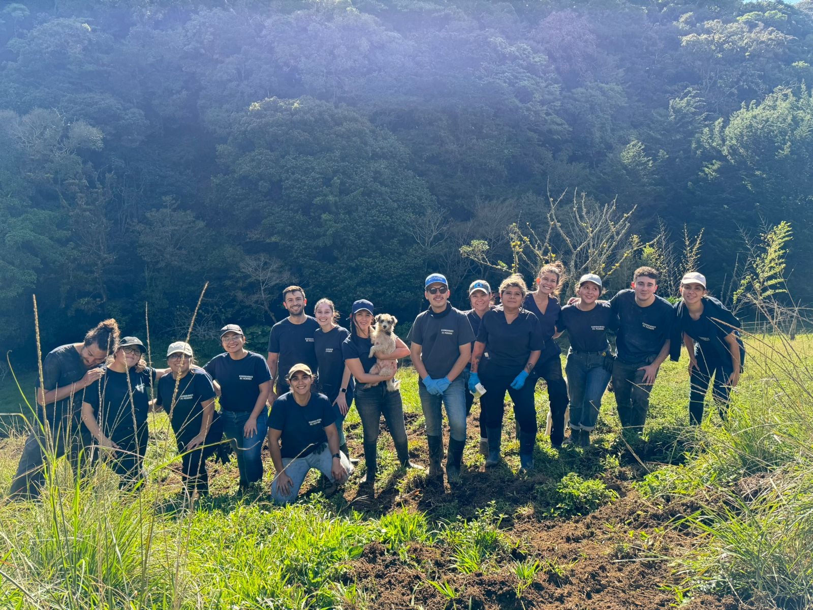 Guardianes de perros