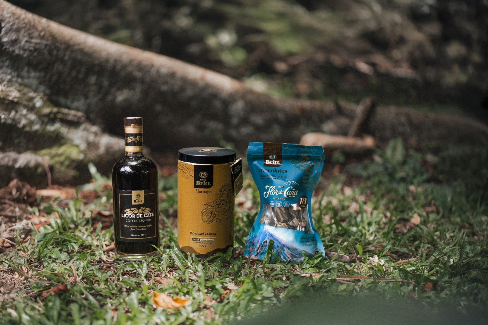 Nuevos productos Britt