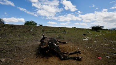 “América Central necesita ayuda inmediata”: ONU alerta de un fenómeno El Niño sin precedentes