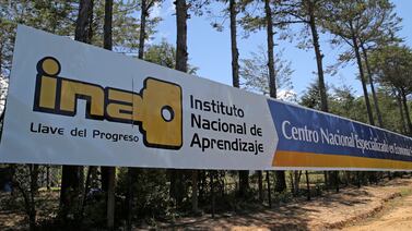 INA abre matrícula para nuevos cursos: contabilidad y micropropagación entre la nueva oferta, vea cómo inscribirse