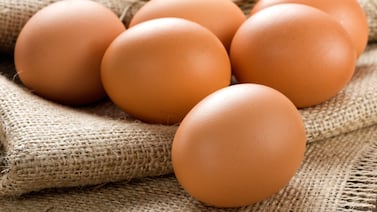 Más caro por docena: los huevos se venden por unidad tras aumento de precios en Nueva York