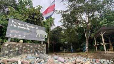 ¿Cuánto cuesta ir a Corcovado? Estos son los precios de cinco agencias