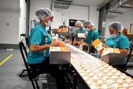 “Prevení hoy, evitá el dolor mañana”: un llamado a cuidar la salud en nuestros trabajos