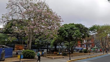 El FEES: injusticia social que debemos derogar