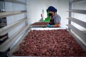 Catica Chocolates: la pyme costarricense que supera a las mejores del mundo en competencias internacionales