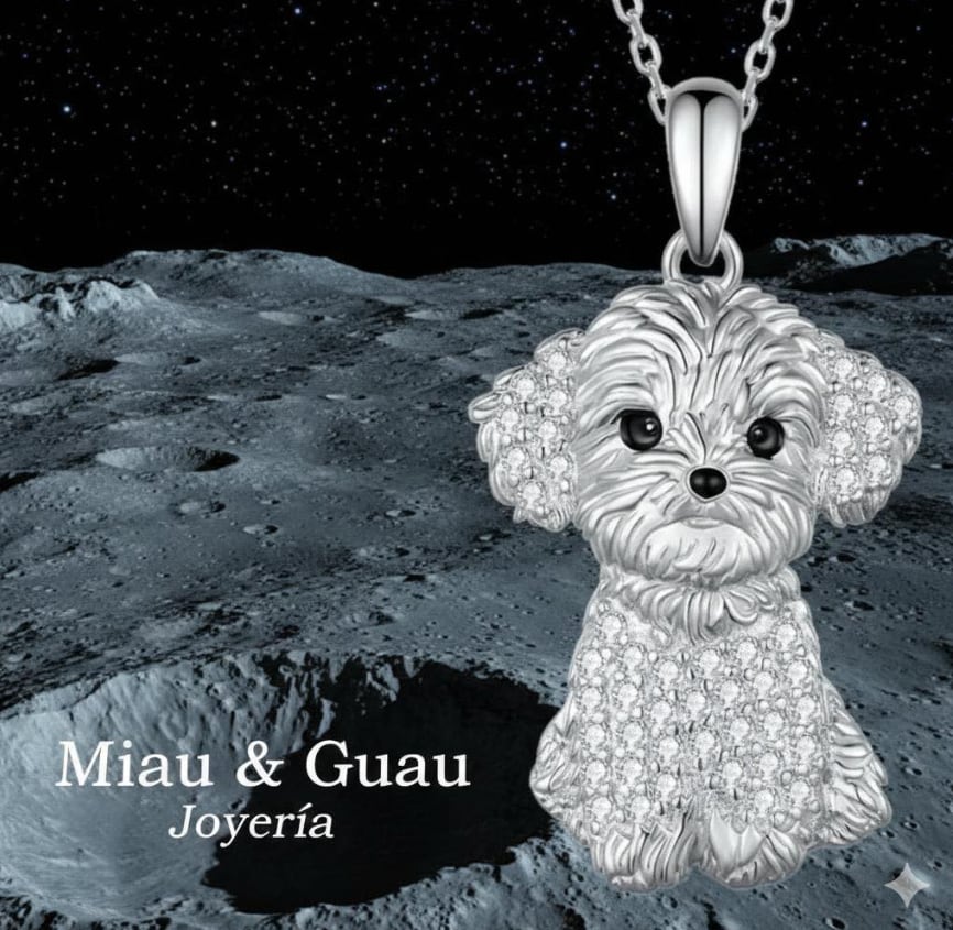 Miau & Guau Joyería, mascotas