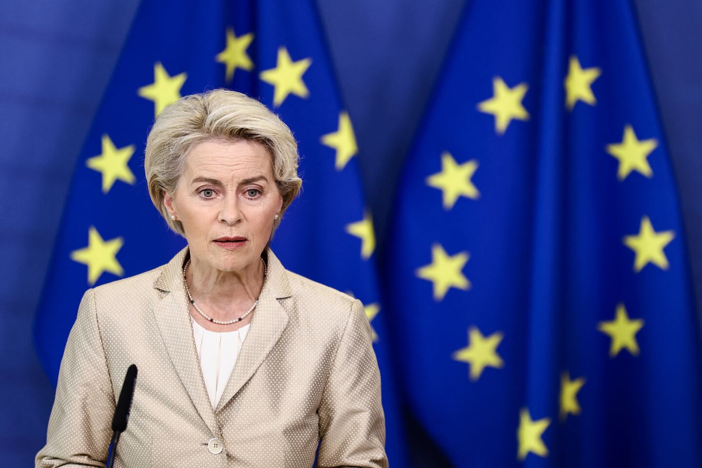 La Unión Europea presenta un plan para flexibilizar los subsidios ...