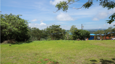 CNFL pone a la venta terrenos desde ¢26,5 millones en zonas rurales y la GAM; vea la lista y precios