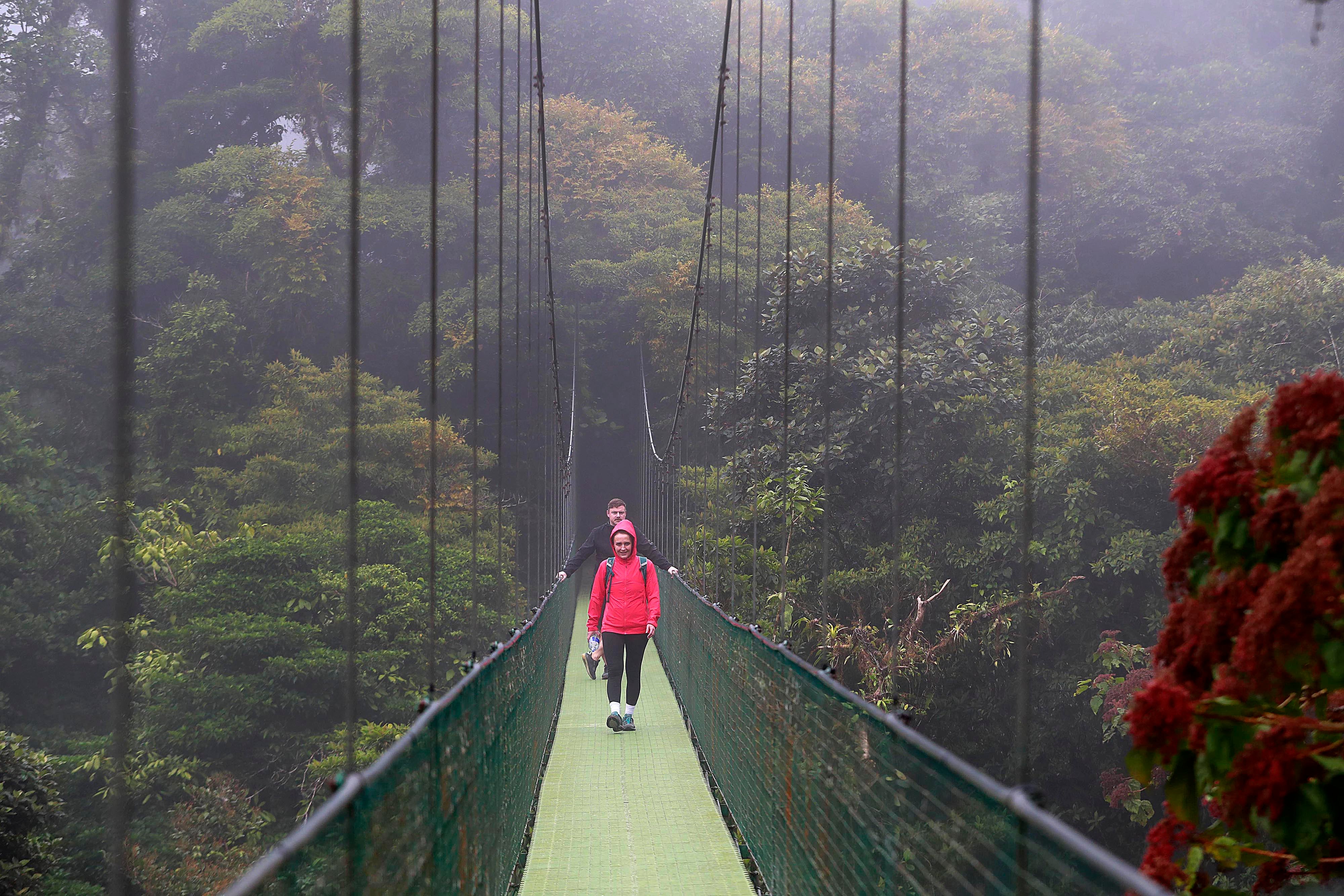 Monteverde. Treetopia, empresa familiar, liderada por Rodrigo Valverde Sánchez y sus cuatro hijos, se ha convertido en pilar en la industria del turismo de aventura en la zona. Cuenta con seis puentes colgantes en las copas de los árboles con fines ecoturísticos, pero también ofrece un teleférico a sus visitantes.