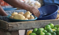 Estos son los 25 productos y servicios que más subieron de precio durante el mandato de Rodrigo Chaves