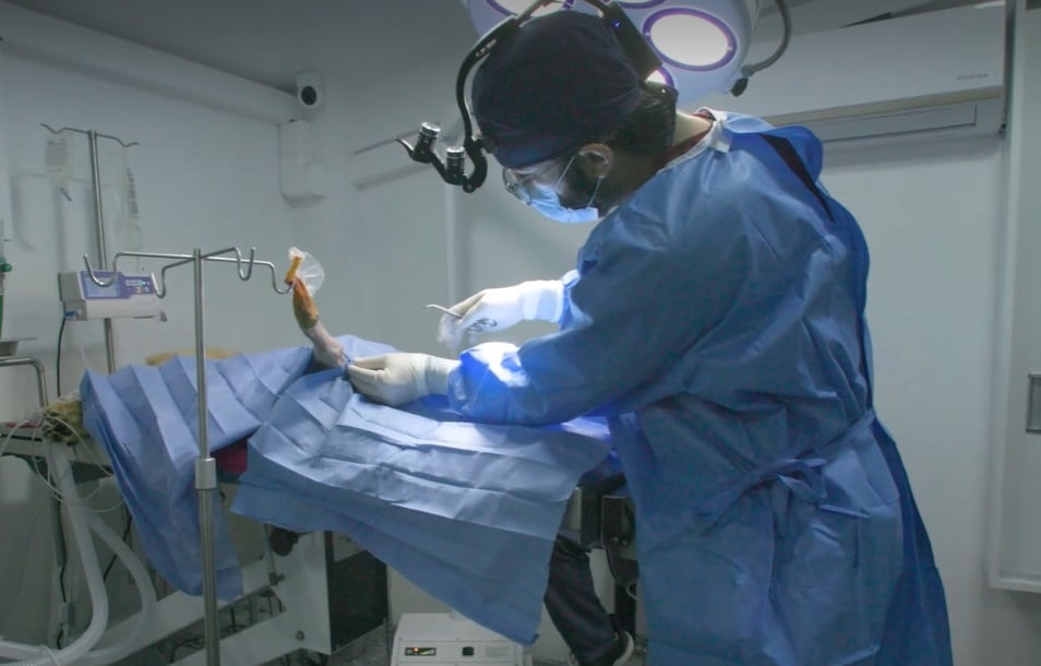 Tratamiento de medicina veterinaria