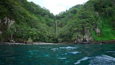 Conozca la Isla del Coco sin salir de la GAM con esta experiencia inmersiva