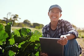 Pequeñas empresas agrícolas podrán concursar por hasta ¢15 millones en nueva convocatoria de Activa-CATIE: vea cómo participar