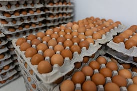 Inflación general cae a -0,11% en agosto, pero alimentos sufren alza