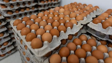 Inflación general cae a -0,11% en agosto, pero alimentos sufren alza