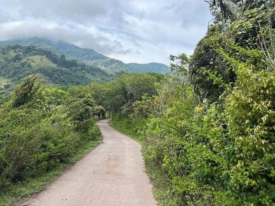 Una caminata le llevará hacia la cumbre del Cerro Cedral, el segundo más alto de las montañas de Escazú.