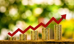 Sin ‘cash flow’ no hay futuro empresarial