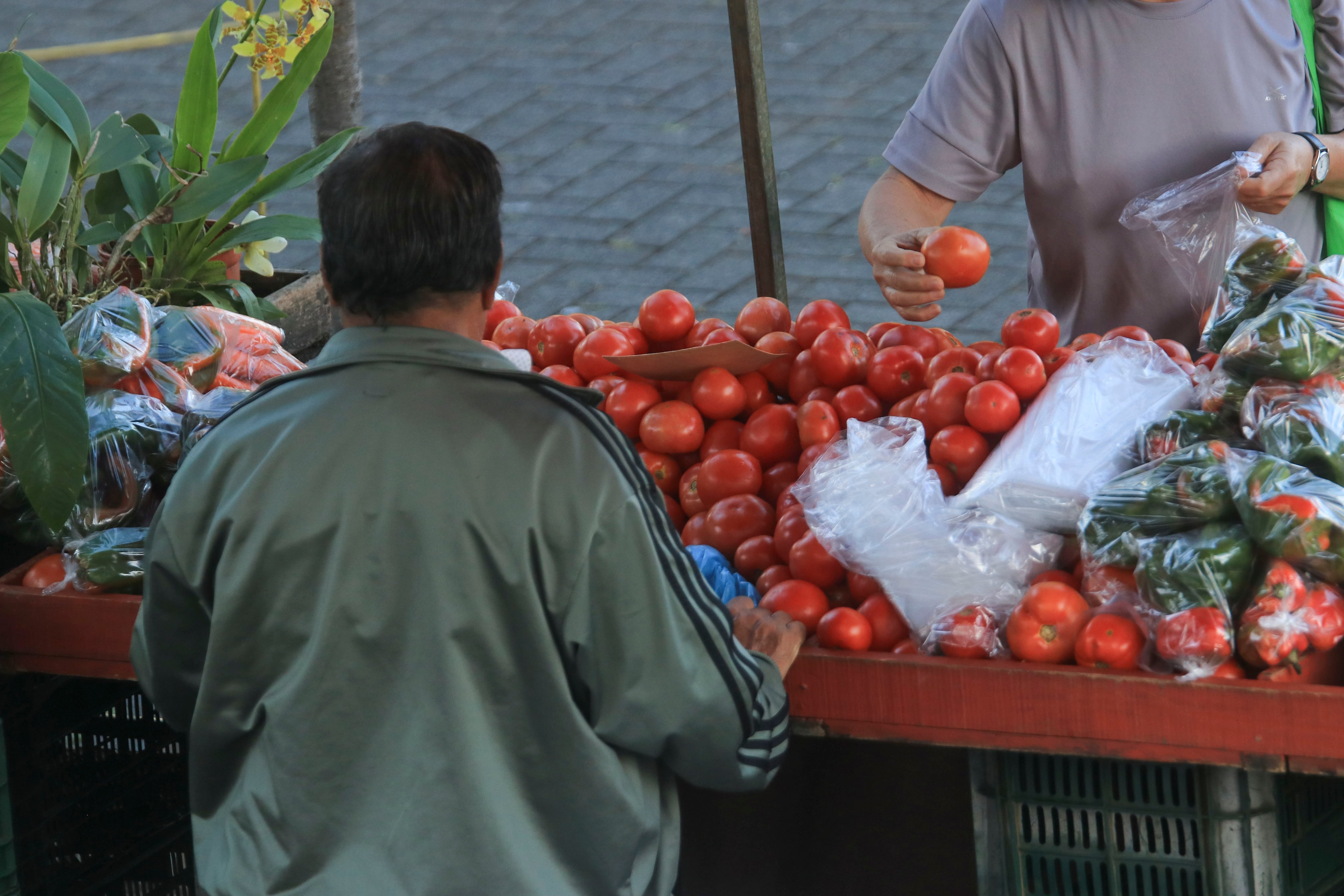 Feria del Agricultor