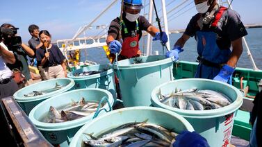Pescadores denuncian al Estado en Japón por verter el agua de Fukushima: “empeora el sufrimiento” del accidente nuclear