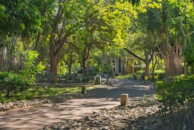 El contenedor pequeño que revela el modelo de negocio de Reserva Conchal