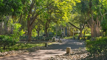 El contenedor pequeño que revela el modelo de negocio de Reserva Conchal