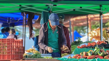 Podcast: El sector agrícola en Costa Rica se debilita cada vez más, ¿se acerca el fin del labriego sencillo?