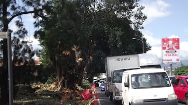 Cierres en la General Cañas: este es el nuevo horario de restricción para transitar por la autopista