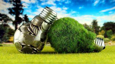 Desafíos en la implementación de las normas financieras de sostenibilidad