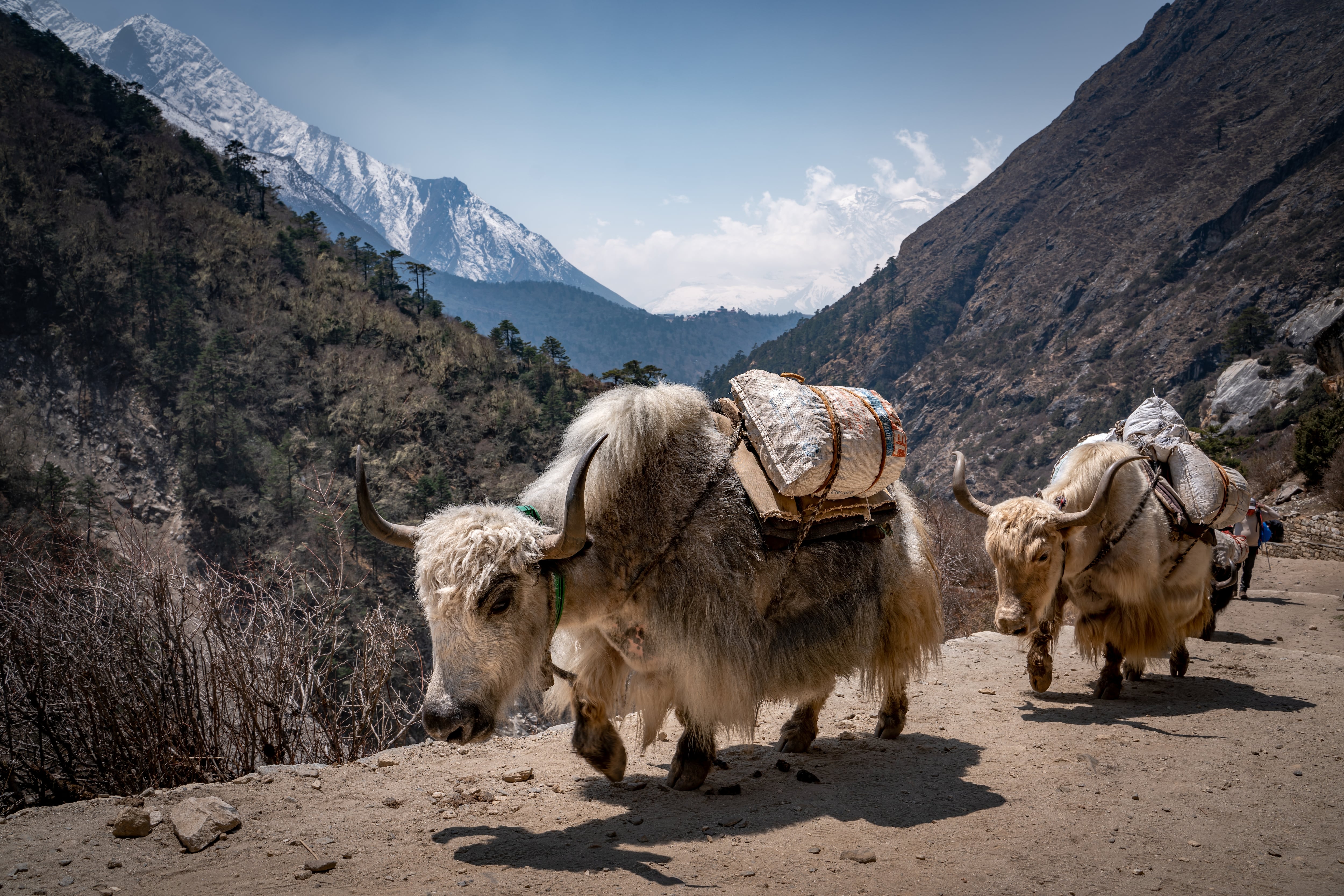 Campo base del Everest
