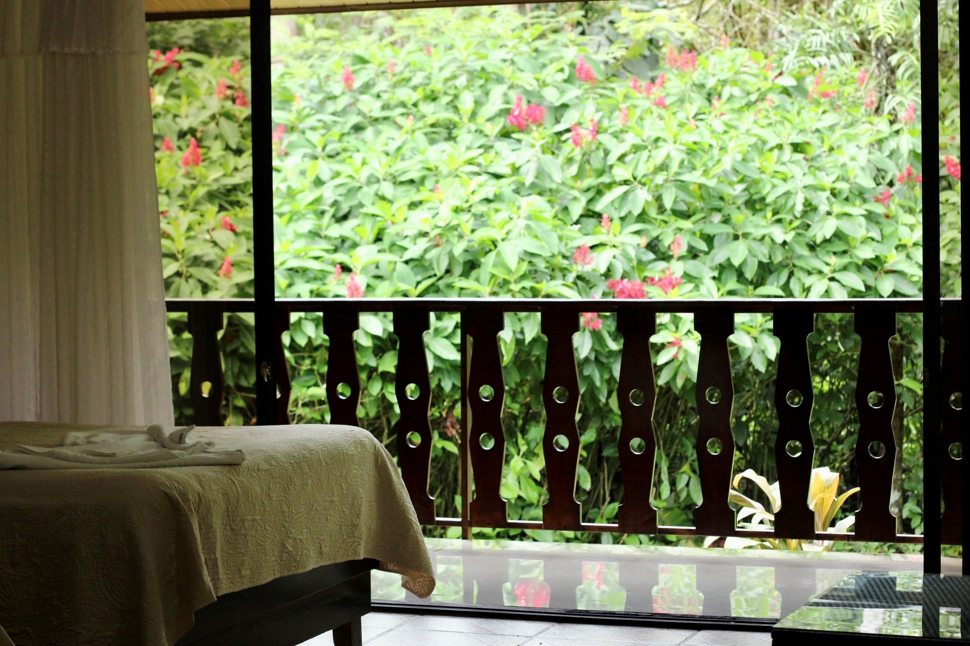 Ara Ambigua Lodge, Sarapiqui, emprender
