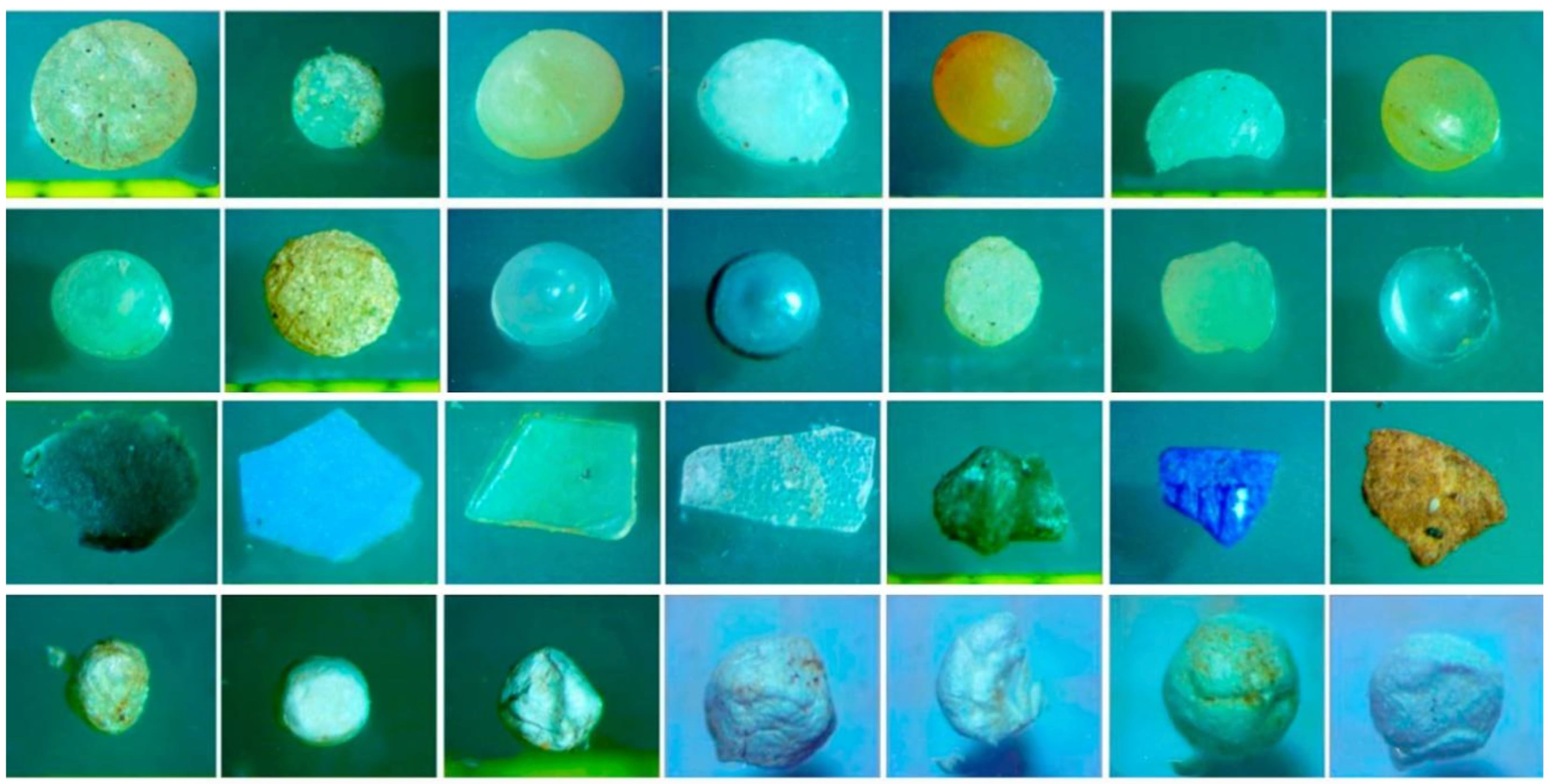 Microplásticos recolectados en playas de Limón durante una investigación realizada en el 2024 por científicos costarricenses y brasileños.