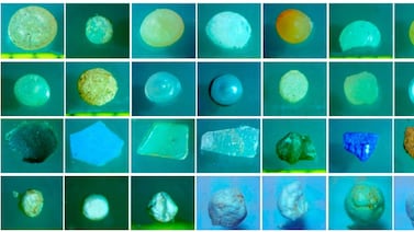 Microplásticos: el material invisible y omnipresente que viaja desde el Polo Norte hasta nuestros cerebros