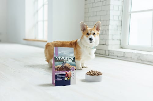 CMI impulsa su crecimiento en alimentos para mascotas con alianza regional junto a Grupo Bios