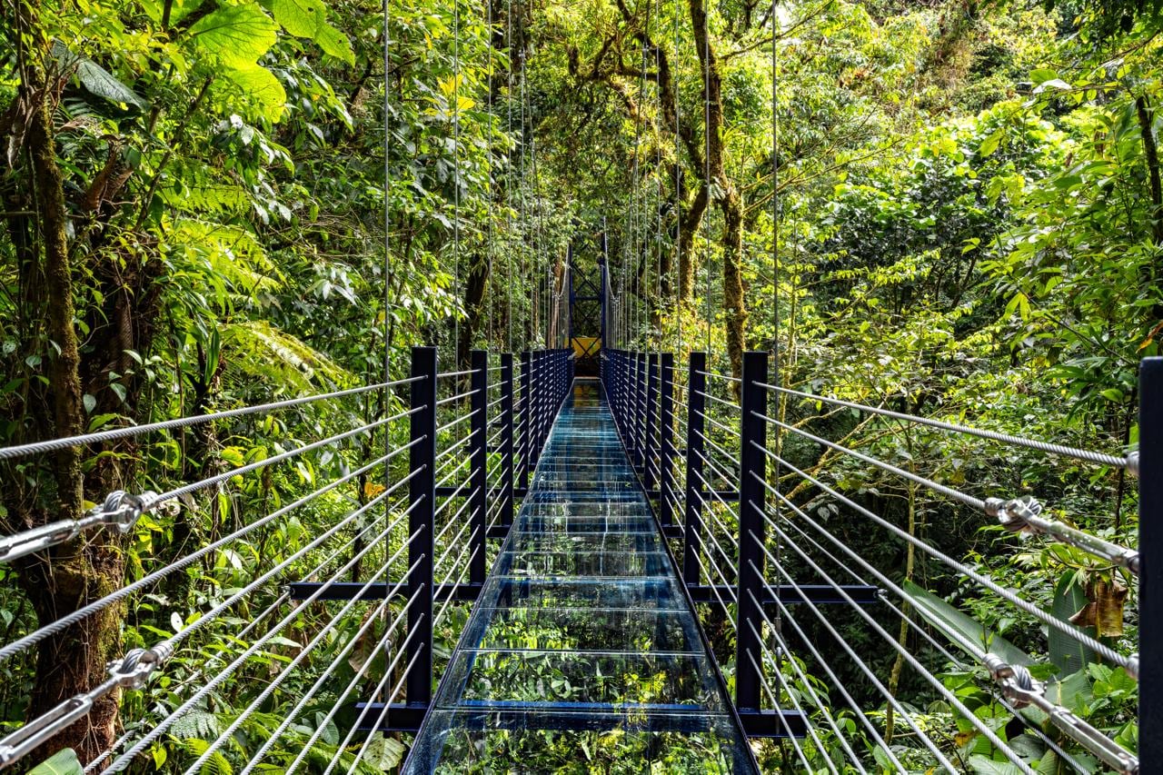 Monteverde suma una nueva atracción turística: el país ya cuenta con su primer puente colgante de vidrio.