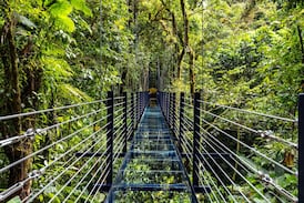 Costa Rica estrena su primer puente colgante de vidrio con una longitud de 42 metros: vea dónde se ubica
