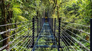 Costa Rica estrena su primer puente colgante de vidrio con una longitud de 42 metros: vea dónde se ubica