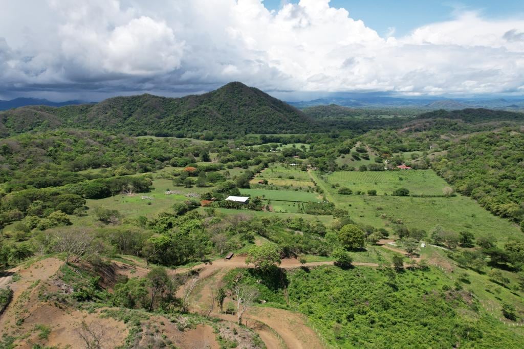 TERRA QUINTAS