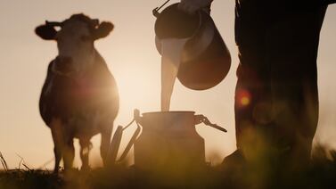 Cámara de lecheros: “Comex es muy bueno para negociar, malo para administrar”