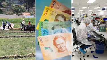 ¿Cuáles actividades pagan los mejores salarios en Costa Rica? Así se han movido las remuneraciones en los últimos 20 años