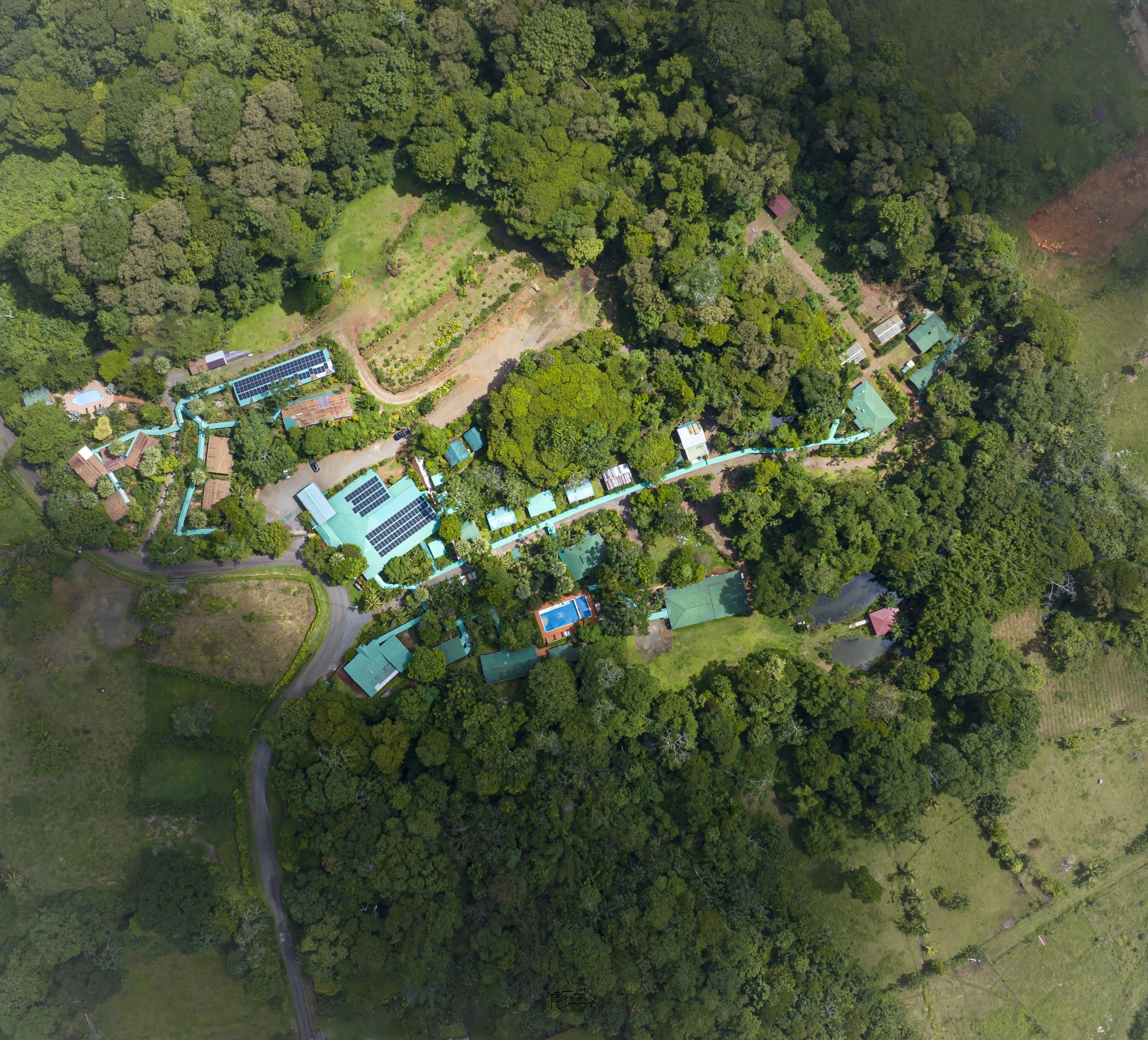 Hotel Ara Ambigua Lodge
