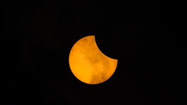 Asombro, atmósfera y reacción de los animales: ¿qué esperan aprender los científicos del eclipse total en Estados Unidos?