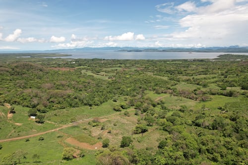 Forbes destaca el enfoque sostenible de Terraquintas en el desarrollo inmobiliario en Costa Rica