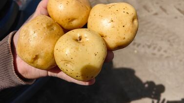 Así se comportó la inflación en Costa Rica a octubre de 2025