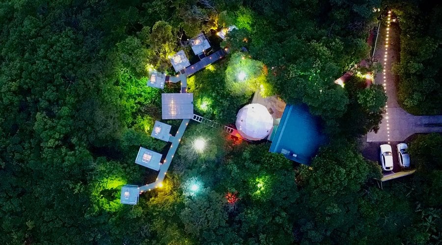 San Lucas Treetop Dining Experience